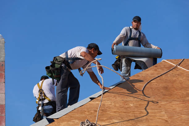 Best Commercial Roofing Services  in Palmetto Bay, FL
