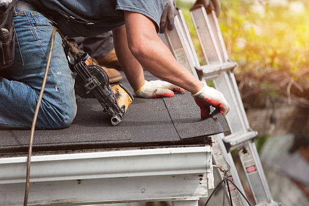 Best Roof Leak Repair  in Palmetto Bay, FL