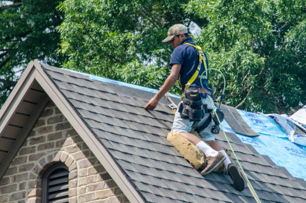 Professional Roofing Contractor in Palmetto Bay, FL