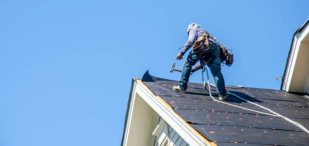 Best Storm Damage Roof Repair  in Palmetto Bay, FL